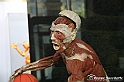 VBS_2925 - Mostra Body Worlds